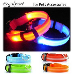 LED Adjustable Dog Collar Blinking Night Flashing Light Up Glow Pets Safety